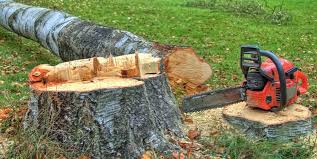  New Hempstead, NY Tree Removal Pros